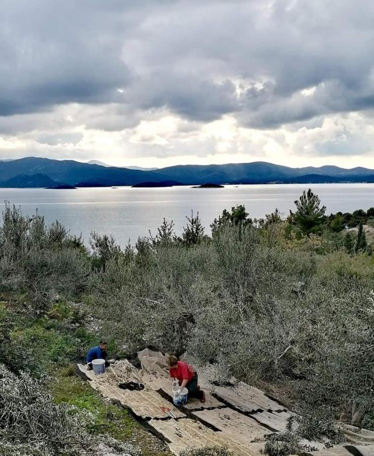 Apartmani Kremena Small Beach 200M Klek Buitenkant foto